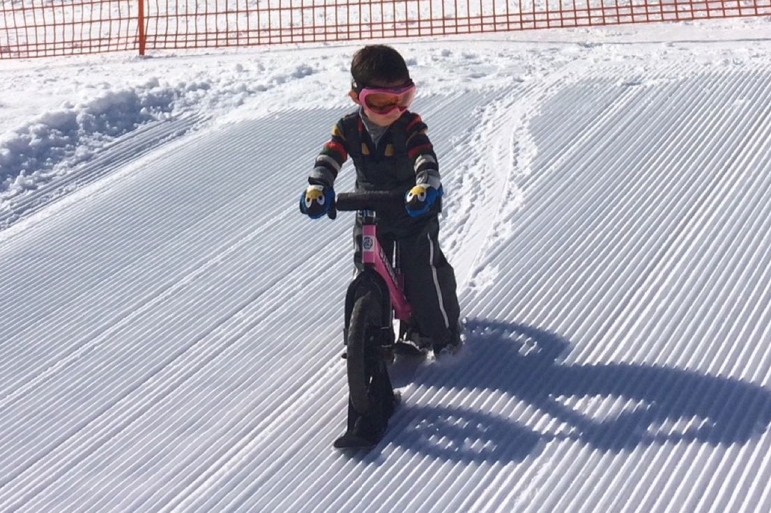 かたしな高原 公式