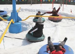 ハチ北スキー場 公式