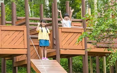 白樺リゾート池の平ホテル公式サイト