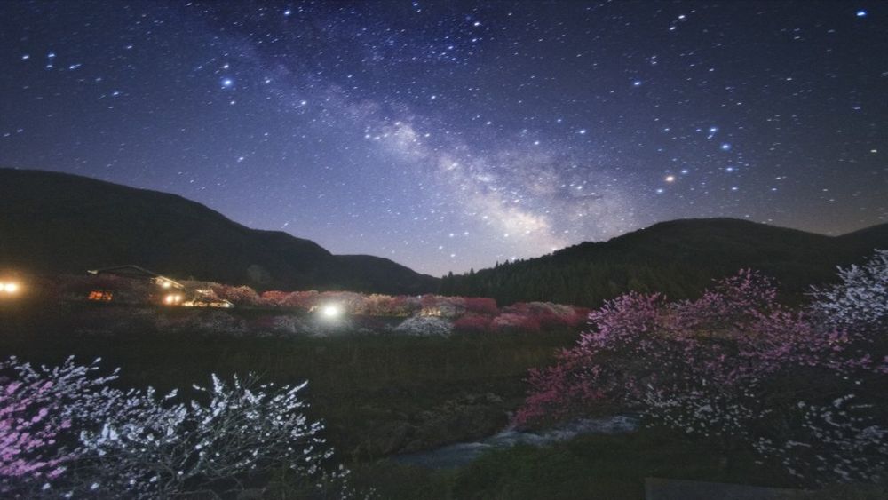 月川温泉 野熊の庄 月川 公式