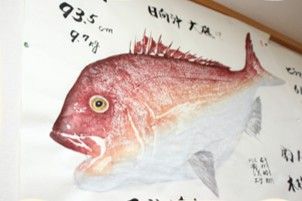 漁場の宿 はっとり 公式