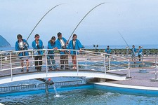 伊東温泉 サンハトヤ　公式