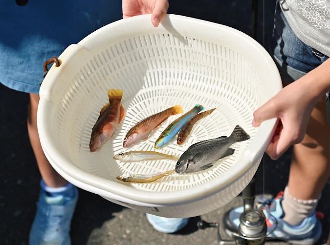 海辺の小さなお宿 まるへい民宿