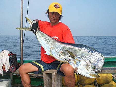 網元の宿　龍海丸
