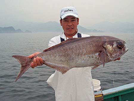 網元の宿　龍海丸