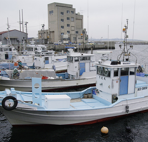 民宿・釣船 竹見荘