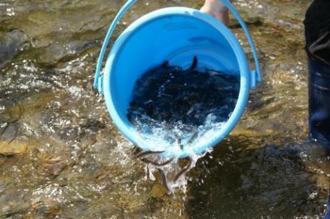 ファミリー＆リゾート　川ばた