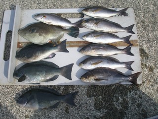 海女と漁師の宿　民宿坂下