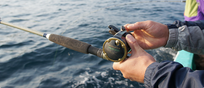 天然温泉 下田須崎の割烹民宿 小はじ