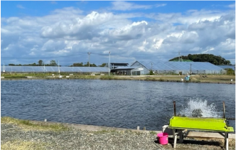 浜名湖フィッシングリゾート