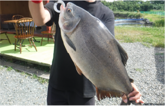 浜名湖フィッシングリゾート