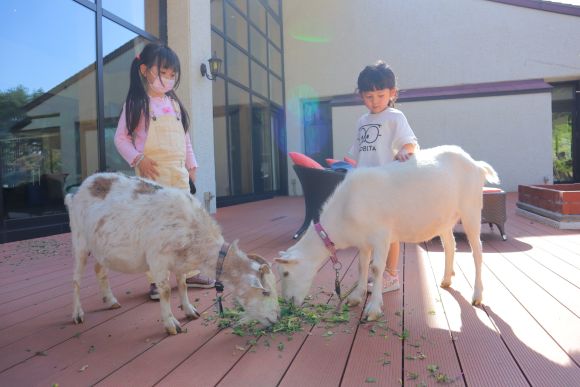 1000Mのおもてなし 八ヶ岳 ホテル風か 公式