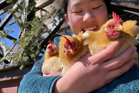 キッズペンションめーぷる 公式