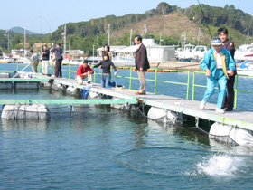 フィッシングパーク トリトン