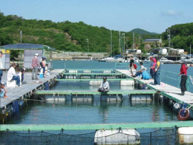 フィッシングパーク トリトン