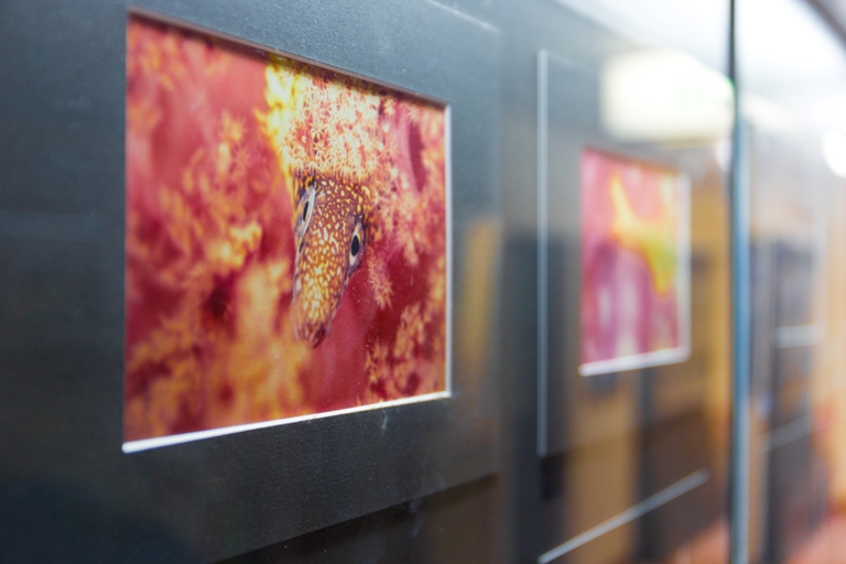 松崎温泉　豊崎ホテル