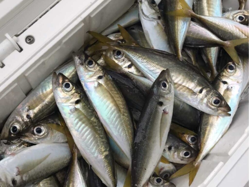 民宿あびる公式