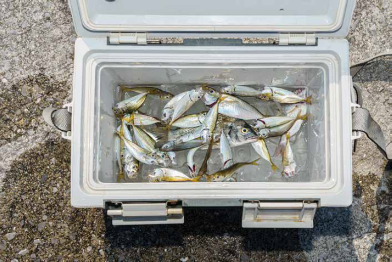 ヴィラ・くにさき公式