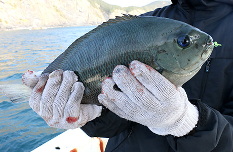 民宿 つりの家公式
