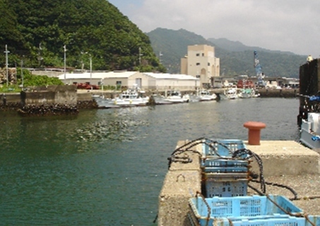 南紀すさみ温泉 ホテル ベルヴェデーレ　公式