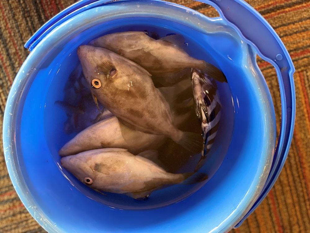 旅宿 よぶこ公式