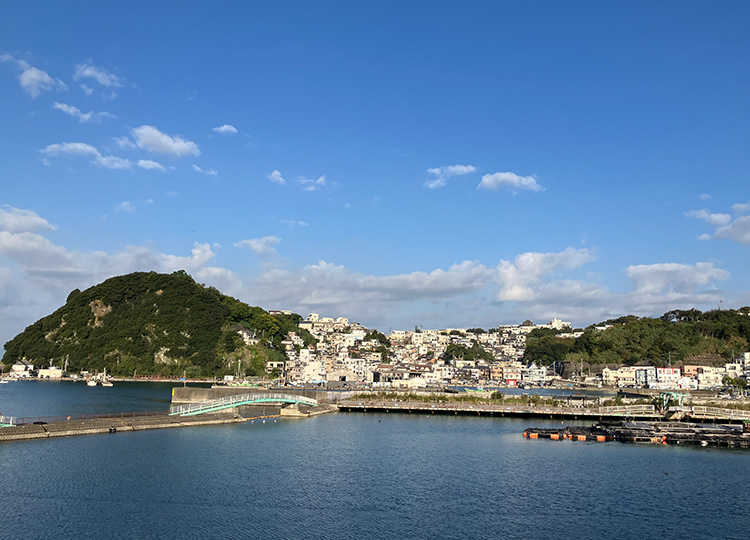 紀州温泉『天然足赤エビの宿』新和歌ロッジ　公式