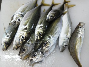 割烹旅館 筑前屋公式