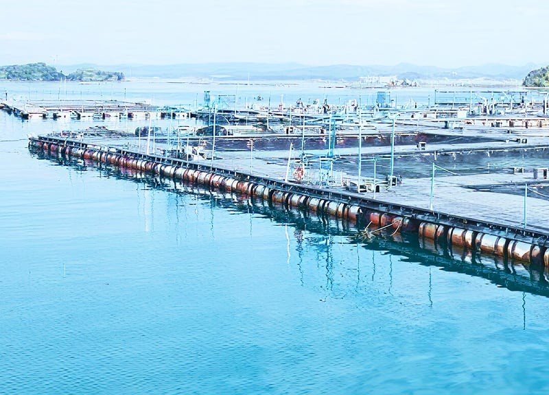 白良荘グランドホテル　公式