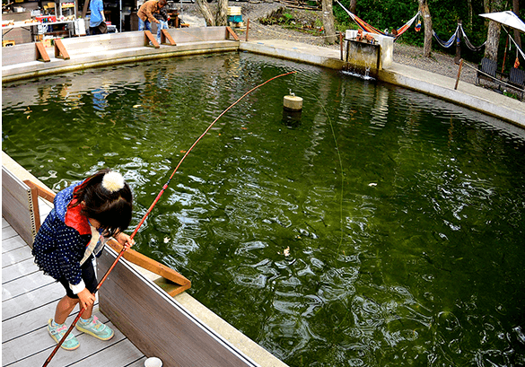 貸し別荘 Orkひるがの