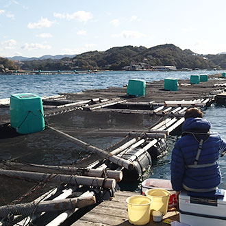 とれとれヴィレッジ　公式