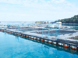 とれとれヴィレッジ　公式