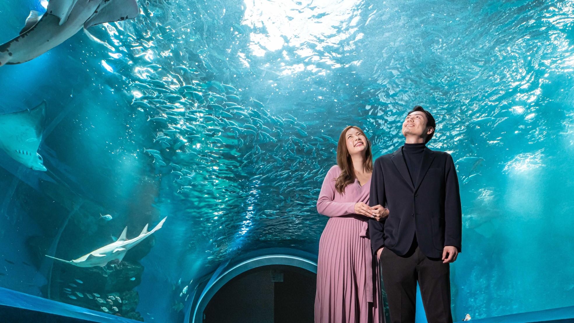 品川プリンスホテル公式