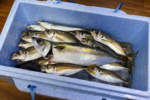 一棟貸しの宿　うたげ HANARE公式