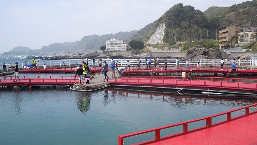 鴨川観光プラットフォーム株式会社