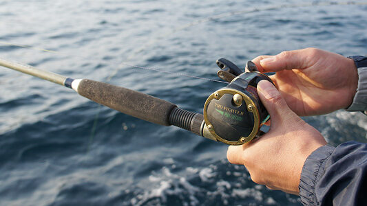 天然温泉 下田須崎の割烹民宿 小はじ