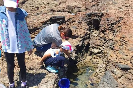 ユクサおおすみ海の学校