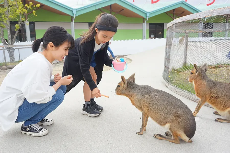阿蘇ファームランド　大自然阿蘇健康の森　公式