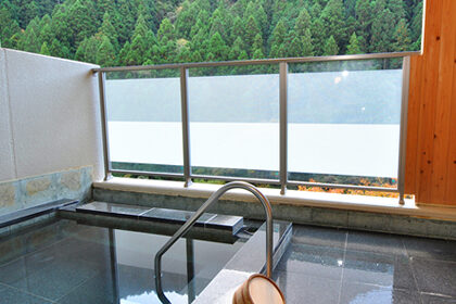 奥多摩の風 はとのす荘