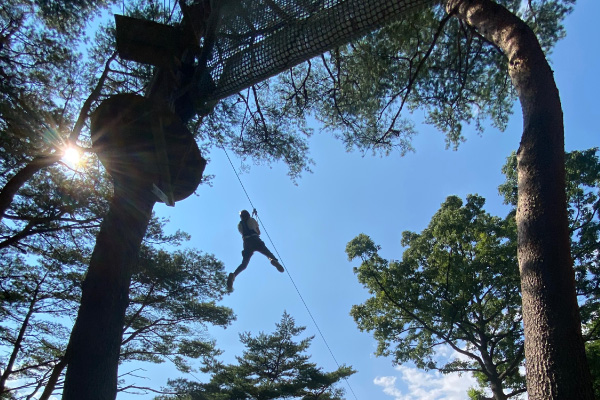 TOWAピュアコテージ(NOZARU) 公式