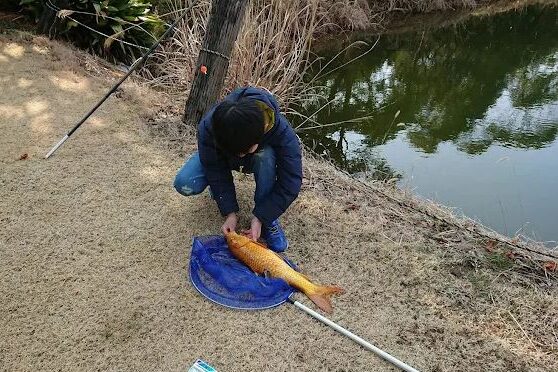 コテージ＆ペンション NANJAMONJA