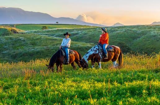 エル・パティオ牧場