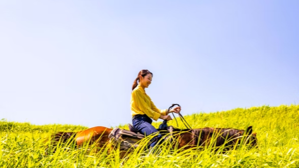 エル・パティオ牧場