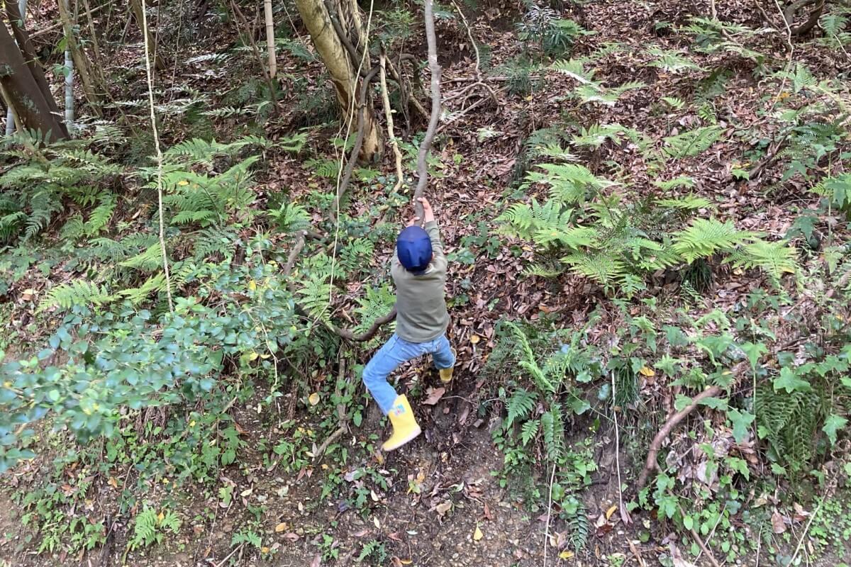 淡路島マンモス 公式