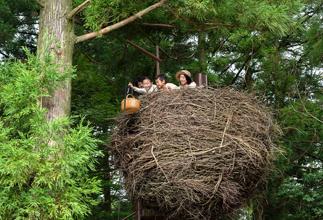 ネイチャーライブ六甲 公式