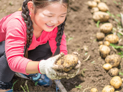 ウェルネスパーク五色 浜千鳥 公式