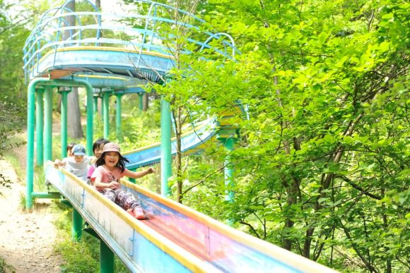 グリーンパーク山東　公式