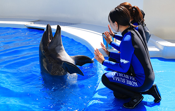 神戸須磨シーワールドホテル 公式