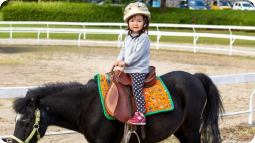 しあわせの村 公式