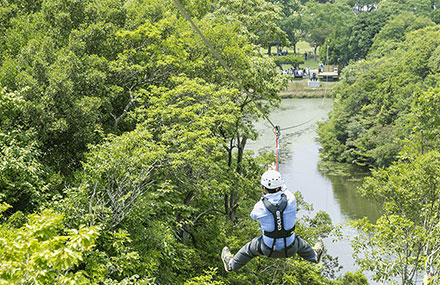 グランシャリオ北斗七星135°公式