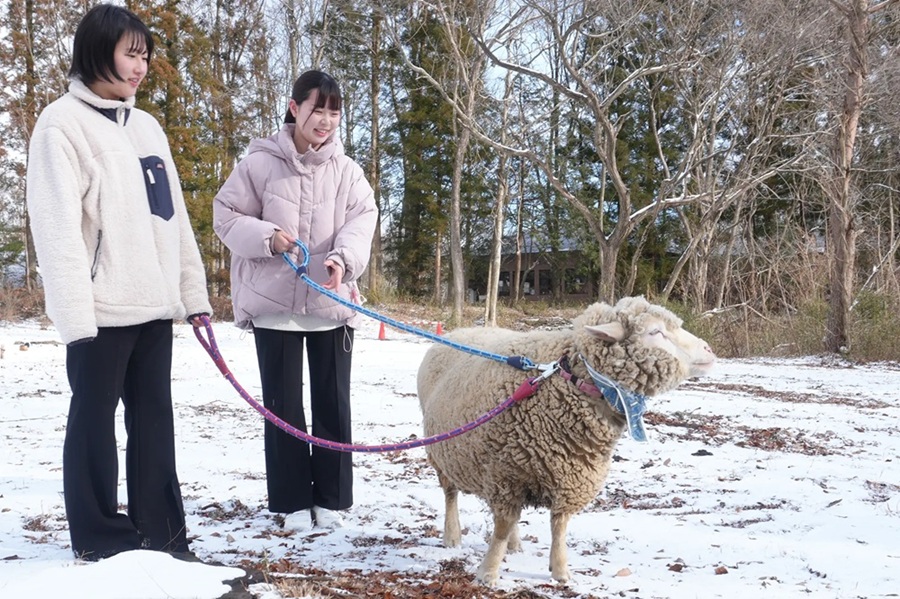 ホテルエピナール那須 公式